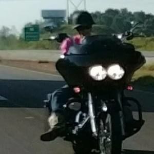 Meet your Posher, Gavin